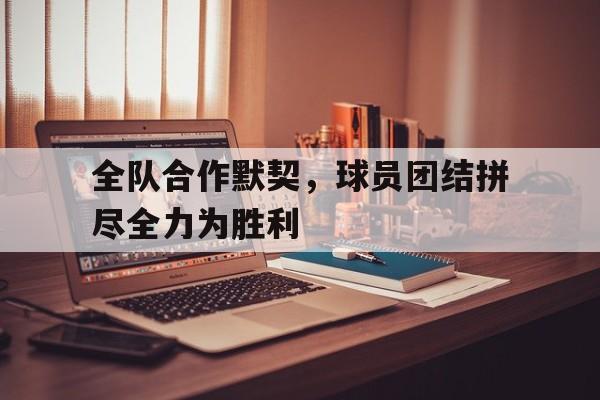 包含全队合作默契，球员团结拼尽全力为胜利的词条